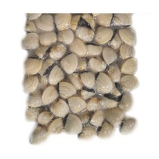 [씨기프트]냉동 백합조개 5kg(1kg x 5팩) 탕 구이 파스타 대용량 업소용, 5개, 1kg