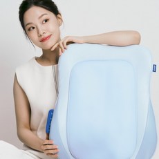 비브아 등 허리 마사지기, 비브아 등허리 마사지기 1개