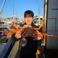 살이꽉찬 국산 박달대게 수율90% 영덕대게 찜 자숙 울진 대게 포항 구룡포 게 대개 제철 1kg 2kg, 1박스, 국산박달대게 2kg (4~6마리 살수율90%이상)