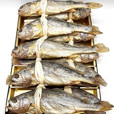 영광 법성포 건조 보리굴비 왕특대 30cm 32cm 35cm 개별진공포장, 30cm 내외, 5개