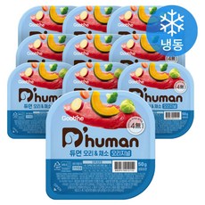 듀먼 전연령용 강아지 오리지널 화식사료, 오리+채소, 50g, 10개