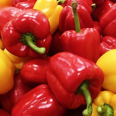 < 바른농산 > 국내산 못난이 파프리카 (빨강/노랑/혼합/)(1kg 2kg 3kg 5kg), 1개, 1kg(빨강)