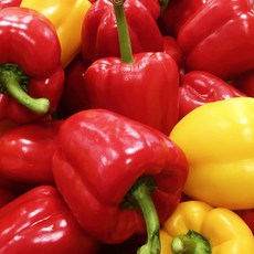 < 바른농산 > 국내산 못난이 파프리카 (빨강/노랑/혼합/)(1kg 2kg 3kg 5kg), 1개, 1kg(혼합)