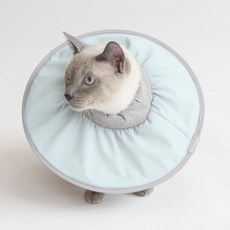 PET IN BEAUTY 寵物頭套 L號 薄荷綠, 1個