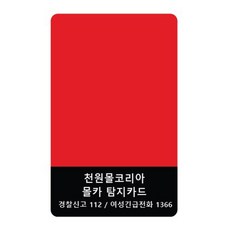 몰카탐지 카드 몰래카메라 방지 감지, 1개