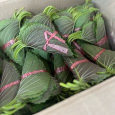 국내산 밀양 깻잎 5묶음 10묶음 20묶음, 1개, 150g