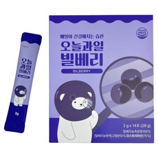 100% 빌베리 농축분말 안토시아닌 루테인대신 눈건강 눈영양 겨울철 환절기 눈피로 시력보호, 28g, 6세트