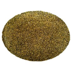 청차조 2024년산차조 국산청차조 차조, 2kg, 1개