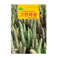 (CN) 그린와송 씨앗 (5000립), 1개