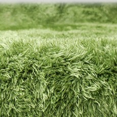 주스터디 극사실 파충류 이끼 모스매트 바닥재, 2개