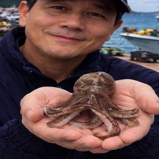 봄 알베기 국내산 활 주꾸미 1kg 쭈꾸미 샤브샤브 봄 주꾸미, 1개, 국내산 생물 1kg