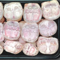 [HACCP인증] 기운내소 한우 100% 우족 4.5kg, 1개