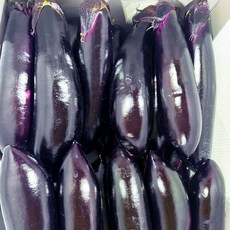 < 바른농산 > 국내산 햇가지 못난이 상품, 1개, 5kg
