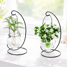 제이브 수경식물 수경재배 호박 유리화병 + 거치대, 2개