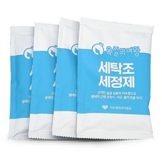 욕실의여왕 세탁조 클리너 4p, 400g, 1개