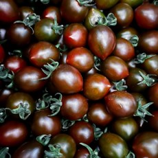 천원농산 대저흑대추방울토마토 하우스재배 프리미엄보장, 1박스, 1kg