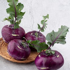 [프레쉬나우] 아삭달콤 제주 햇 콜라비 특품, 1박스, 5kg