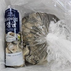[일억수산] 통영 산지직송 최상급 생굴 프리미엄 굴, 1개, 프리미엄 통영생굴 1kg