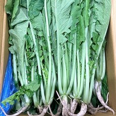 국내산 열무 2kg, 1개