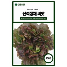 아시아종묘 신적생채 상추 씨앗 LMV 프리 300립, 1개