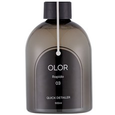 현대모비스 체리향 자동차 퀵디테일러 차량용 광택제 코팅, 2개, 500ml