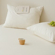 진드기차단 방수 베개커버 2p