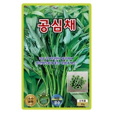 산들마켓 공심채 씨앗 10g 칼슘 비타민이 풍부하여 항산화 작용에 좋은 모닝글로리 열대식물 품종 종자, 1개