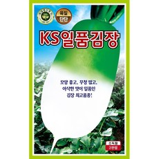 KS일품김장 가을무 씨앗(1000립) 모양좋고 무청 많고 아삭한 가을무, 1개