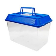 밀웜나라 채집통 소 중 대 특대 왕대, 1개