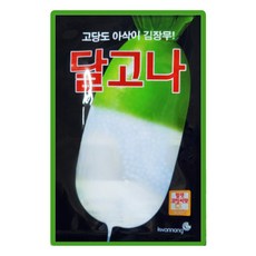김장무 씨앗 300립 달고나 가을무씨 종자, 1개