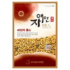 자애인 국산 볶은 보리차 2kg (1kg+1kg) 개별포장 구수하게 갓볶아낸 볶은보리 국산보리, 1kg, 2개