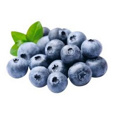 [2주한정초특가!] 하루20박스만 명품 국산 급냉 블루베리, 1박스, 1kg