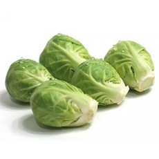 쉐프의정원 제주 방울양배추 미니양배추, 미니방울양배추, 1개, 500g