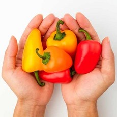 신선한 미니파프리카 과일파프리카, 250g, 2개