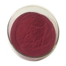 크랜베리농축분말H 100g 샘플, 1개