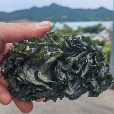 햇 쫄쫄이 저염 미역귀 최상품 미역귀 200g, 1개