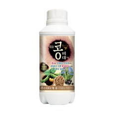 대유 콩비대 500ml 콩 참깨 땅콩 들깨 크게 비대, 1개