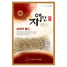 자애인 국산 볶은 결명자 차 국산 결명자 100% 저온 로스팅, 2개, 1개입, 600g