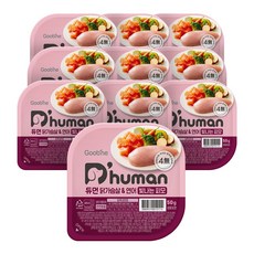 듀먼 전연령용 강아지 빛나는피모 화식사료, 닭+연어, 50g, 10개