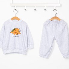 [봄/가을] 공룡 상하복