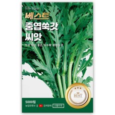 베스트 중엽 쑥갓 씨앗 5000립 맛과 향이 좋은 다수확 쑥갓씨 종자, 1개