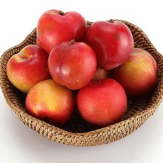 [하루담음] 입점기념특가 유명산지 고당도 제철 후무사 도담 자두, 1박스, 2kg 대과 초특가 행사중