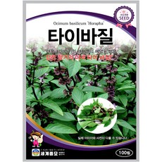 세계종묘 타이바질 100립 일반종 식용꽃 허브 꽃씨 씨앗 종자 세계, 1개
