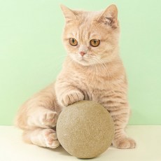 고양이 캣닢볼 캣닢 장난감 마따따비 대왕 볼 왕빵 캣닢공, 왕빵 캣닢볼, 1개
