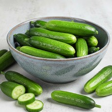 신선히어로 미니오이 아삭 스낵 건강 간식 경북 500g 1kg 2kg