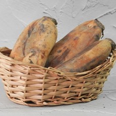 [더조은푸드] 신선한 국내산 흙 연근 (알뜰형 실속형 파지) 연근채 / 말린연근 / 생연근, 1박스, 연근 (알뜰 실속형) 1kg