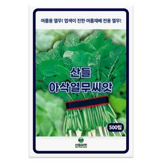 산들 아삭 열무 씨앗 500립 엽색이 진하고 더위에 강한 열무씨 종자, 1개