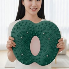 코어즈 웰니스텝 가정용 에어 지압 스텝퍼 천국의계단, 그린