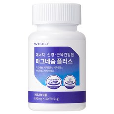 와이즐리 에너지 신경 근육 건강엔 마그네슘 플러스(2개월분), 60정, 1세트 60정, 1세트