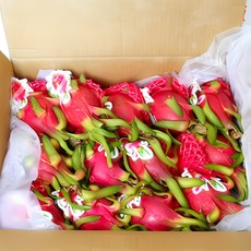 팜플러스 생 용과, 9~12개(5kg내외), 1개